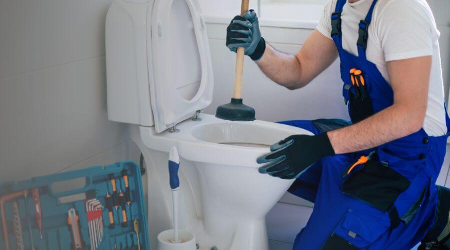 Local annual plumbing maintenance in Elsie, MI